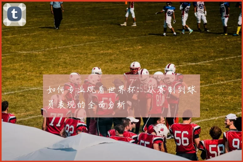 如何专业观看世界杯：从赛制到球员表现的全面分析
