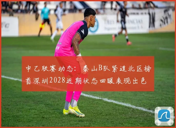 中乙联赛动态:泰山B队紧追北区榜首深圳2028近期状态回暖表现出色