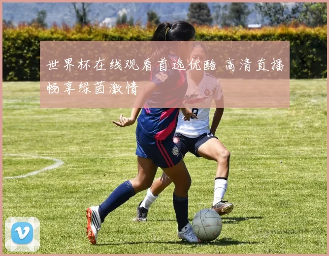 世界杯在线观看首选优酷 高清直播畅享绿茵激情