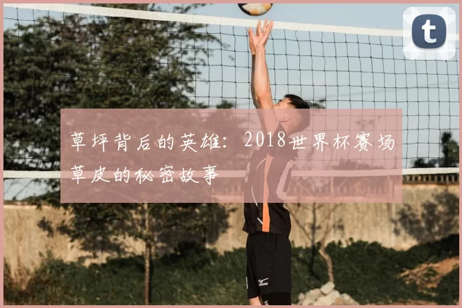 草坪背后的英雄：2018世界杯赛场草皮的秘密故事
