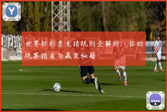 世界杯彩票竞猜规则全解析:你的观赛指南与赢奖秘籍