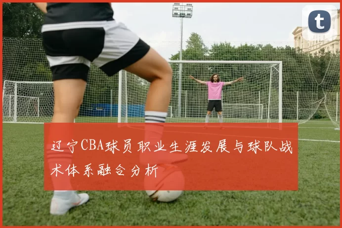 辽宁CBA球员职业生涯发展与球队战术体系融合分析