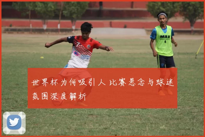 世界杯为何吸引人 比赛悬念与球迷氛围深度解析
