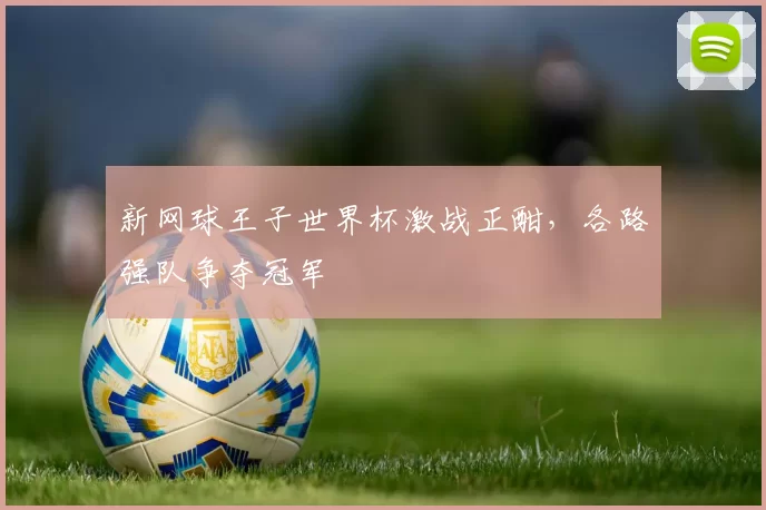 新网球王子世界杯激战正酣,各路强队争夺冠军