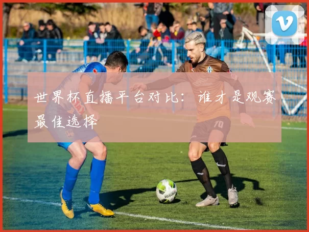 世界杯直播平台对比:谁才是观赛最佳选择