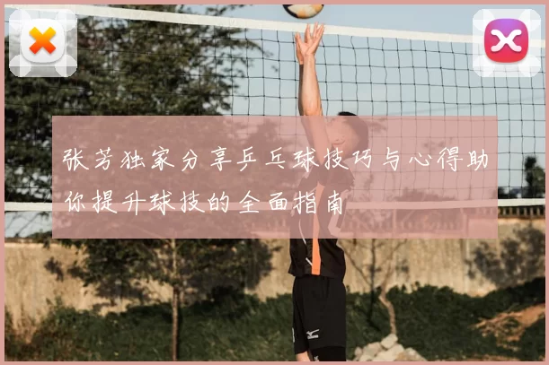 张芳独家分享乒乓球技巧与心得助你提升球技的全面指南