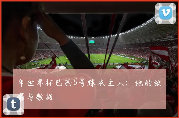 年世界杯巴西6号球衣主人:他的故事与数据