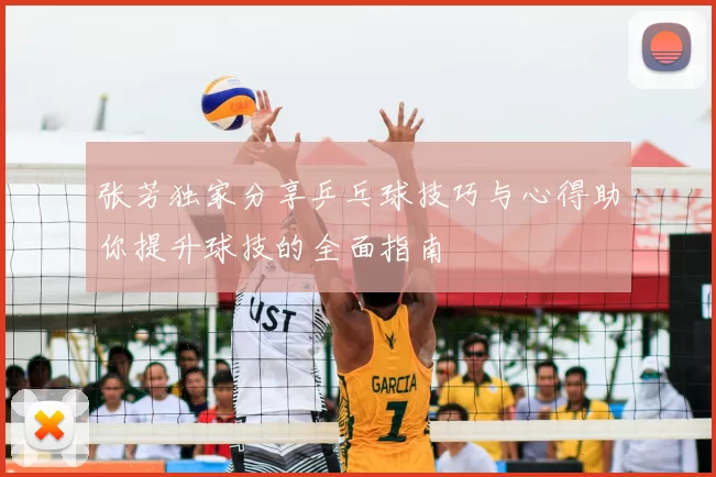 张芳独家分享乒乓球技巧与心得助你提升球技的全面指南