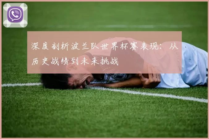 深度剖析波兰队世界杯赛表现:从历史战绩到未来挑战