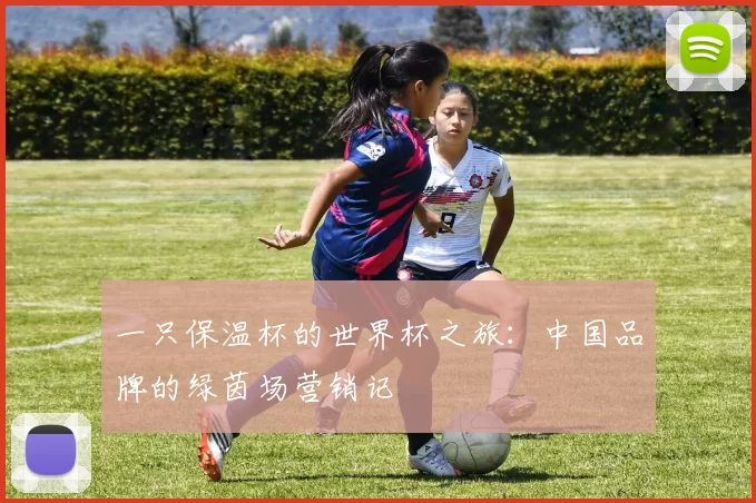 一只保温杯的世界杯之旅:中国品牌的绿茵场营销记