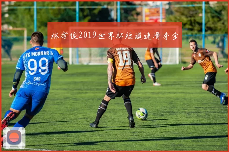 林孝俊2019世界杯短道速滑夺金