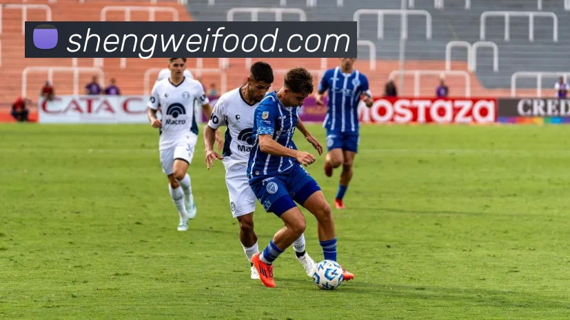 开云平台生态图