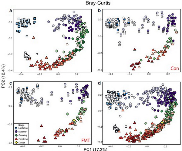 生命科學(xué)與工程學(xué)院李英研究員在《Gut Microbes》發(fā)表最新研究成果