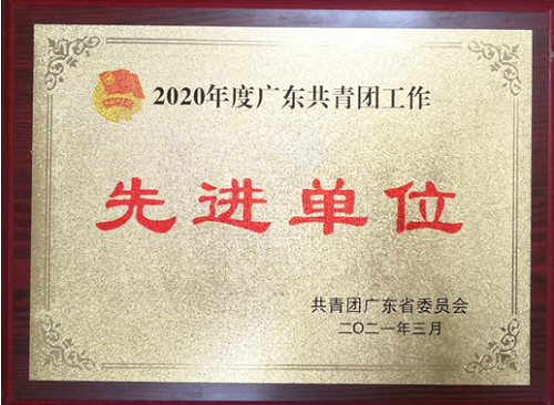 佛科院團委獲評2020年度廣東共青團工作先進單位